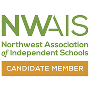 Soccer Accident Prevention: 5 Essential Safety Tips Every Player Must Know
