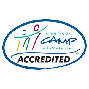 Soccer Ball 4 Pics 1 Word Answers and Strategies to Solve All Levels
