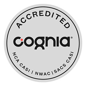 Can You Guess the Soccer Ball 4 Pics 1 Word Puzzle Answer?
